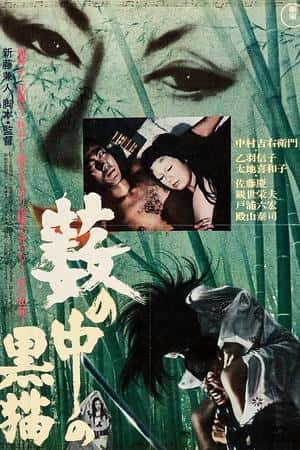 日本电影《黑猫》(1968)藪の中の黒猫-小众纪录片电影下载蓝光4K/1080P/720P/360P高清标清网盘BT迅雷下载