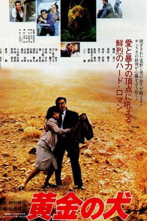 日本电影《黄金之犬》(1979)黄金の犬-小众纪录片电影下载蓝光4K/1080P/720P/360P高清标清网盘BT迅雷下载