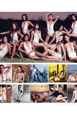 日本电影《亚洲之爱》(2006)-小众纪录片电影下载蓝光4K/1080P/720P/360P高清标清网盘BT迅雷下载