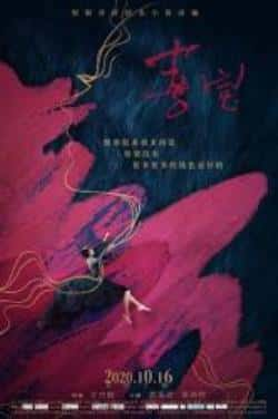 国语电影《喜宝》（赵雪芹,曹恩齐,李彦漫,高仁,黎燕等主演）高清bt种子下载-蓝光4K/1080P/720P/360P高清标清网盘BT迅雷下载小众纪录片电影下载