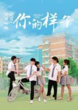 国语电影《你的样子》（王晴,刘剑羽,史文翔,张蓝艺等主演）高清bt种子下载-蓝光4K/1080P/720P/360P高清标清网盘BT迅雷下载小众纪录片电影下载