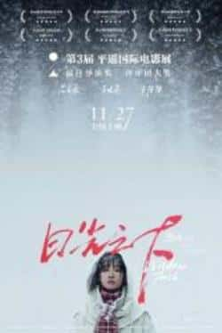 国语电影《日光之下》（王佳佳,陈永忠,吴晓亮,吕星辰等主演）高清bt种子下载-蓝光4K/1080P/720P/360P高清标清网盘BT迅雷下载小众纪录片电影下载