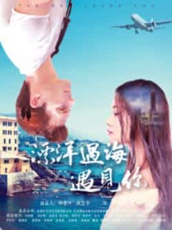 国语电影《漂洋过海遇见你》（饶洁湘,罗伟,梦丽,王效等主演）高清bt种子下载-蓝光4K/1080P/720P/360P高清标清网盘BT迅雷下载小众纪录片电影下载