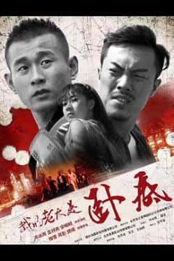 国语电影《我的老大是卧底》（冷冰雨,孟祥亮等主演）高清bt种子下载-蓝光4K/1080P/720P/360P高清标清网盘BT迅雷下载小众纪录片电影下载