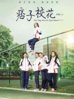 电影《痞子校花》（赵晨希,冯垚垚,王艳娜,胡寒玥,韦等主演）高清bt种子下载-蓝光4K/1080P/720P/360P高清标清网盘BT迅雷下载小众纪录片电影下载