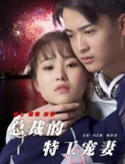 电影《总裁的特工宠妻》（冯芷墨,熊苏艺等主演）高清bt种子下载-蓝光4K/1080P/720P/360P高清标清网盘BT迅雷下载小众纪录片电影下载