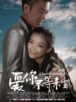 电影《爱你不等来生》（向甜,刘长纯,王豫飞,王小溪等主演）高清bt种子下载-蓝光4K/1080P/720P/360P高清标清网盘BT迅雷下载小众纪录片电影下载