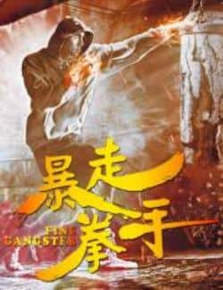 电影《暴走拳手》（乐忠毅,杰义,李姗等主演）高清bt种子下载-蓝光4K/1080P/720P/360P高清标清网盘BT迅雷下载小众纪录片电影下载