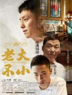 电影《老大不小》（高炜,杨长青,赵燕国彰等主演）高清bt种子下载-蓝光4K/1080P/720P/360P高清标清网盘BT迅雷下载小众纪录片电影下载