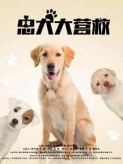 电影《忠犬大营救》（靓仔,小金,刘晓晔,纪帅等主演）高清bt种子下载-蓝光4K/1080P/720P/360P高清标清网盘BT迅雷下载小众纪录片电影下载