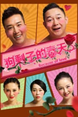 电影《狗剩子的春天》（郝大勇,金龙,金燕,牛苗苗,刘丽,等主演）高清bt种子下载-蓝光4K/1080P/720P/360P高清标清网盘BT迅雷下载小众纪录片电影下载