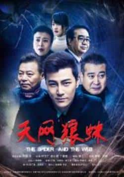 电影《天网狼蛛》（许绍洋赵小锐丁嘉丽等主演）高清bt种子下载-蓝光4K/1080P/720P/360P高清标清网盘BT迅雷下载小众纪录片电影下载