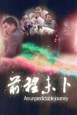 电影《前程未卜》（李雪琳倪堂亮等主演）高清bt种子下载-蓝光4K/1080P/720P/360P高清标清网盘BT迅雷下载小众纪录片电影下载