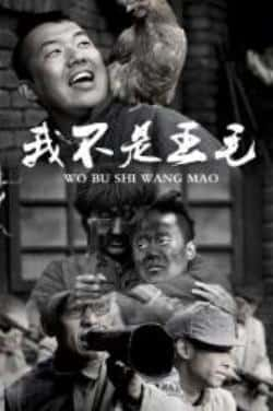 电影《我不是王毛》（王大治,郭金杰,葛晓凤,苏丽,罗京等主演）高清bt种子下载-蓝光4K/1080P/720P/360P高清标清网盘BT迅雷下载小众纪录片电影下载