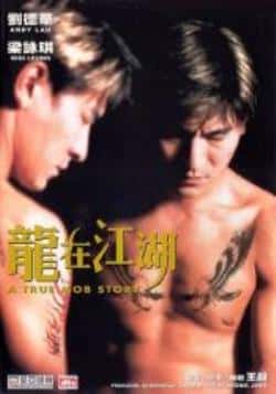电影《龙在江湖》（刘德华,梁咏琪,关秀媚,方中信等主演）高清bt种子下载-蓝光4K/1080P/720P/360P高清标清网盘BT迅雷下载小众纪录片电影下载