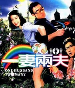 电影《一妻两夫》（钟镇涛,陈友,钟楚红,梅艳芳,夏文等主演）高清bt种子下载-蓝光4K/1080P/720P/360P高清标清网盘BT迅雷下载小众纪录片电影下载
