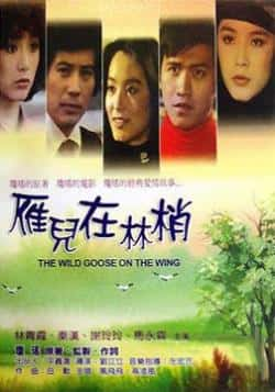 电影《雁儿在林梢》（林青霞,秦汉,刘梦燕,谢玲玲,马永等主演）高清bt种子下载-蓝光4K/1080P/720P/360P高清标清网盘BT迅雷下载小众纪录片电影下载