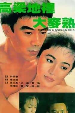 电影《高粱地里大麦熟》（张艾嘉,王道,雷鸣等主演）高清bt种子下载-蓝光4K/1080P/720P/360P高清标清网盘BT迅雷下载小众纪录片电影下载