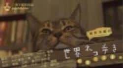 《岩合光昭の猫步走世界~新奥尔良篇》高清bt种子下载-蓝光4K/1080P/720P/360P高清标清网盘BT迅雷下载小众纪录片电影下载