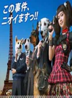 电影《小汪刑事特别任务》（多部未华子,泽村一树,手越佑也,等主演）高清bt种子下载-蓝光4K/1080P/720P/360P高清标清网盘BT迅雷下载小众纪录片电影下载