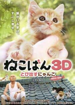 电影《小猫跳出来3D》（伊武雅刀等主演）高清bt种子下载-蓝光4K/1080P/720P/360P高清标清网盘BT迅雷下载小众纪录片电影下载