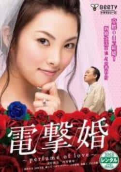 电影《电击婚/闪婚》（田中麗奈,柳下大,西村雅彦,田中等主演）高清bt种子下载-蓝光4K/1080P/720P/360P高清标清网盘BT迅雷下载小众纪录片电影下载