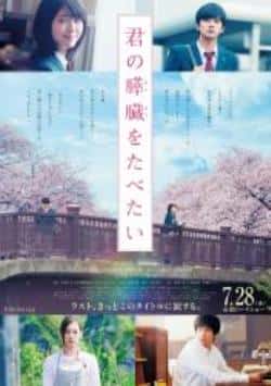 电影《念念手记》（北川景子,北村匠海,樱田通,大友等主演）高清bt种子下载-蓝光4K/1080P/720P/360P高清标清网盘BT迅雷下载小众纪录片电影下载
