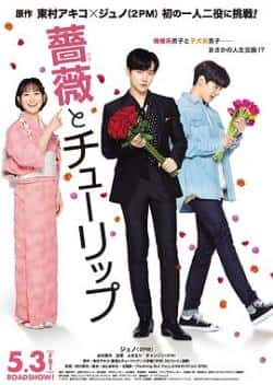 电影《玫瑰与郁金香》（李俊昊,谷村美月,玄理,布施绘里等主演）高清bt种子下载-蓝光4K/1080P/720P/360P高清标清网盘BT迅雷下载小众纪录片电影下载