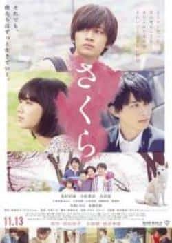 电影《樱》（吉泽亮,小林由依,寺岛忍,北村匠等主演）高清bt种子下载-蓝光4K/1080P/720P/360P高清标清网盘BT迅雷下载小众纪录片电影下载