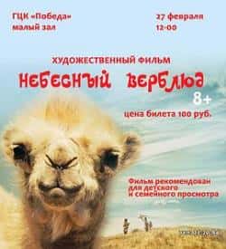 电影《天上的骆驼》（TsedenKonayev,ViktorSukhoruko等主演）高清bt种子下载-蓝光4K/1080P/720P/360P高清标清网盘BT迅雷下载小众纪录片电影下载