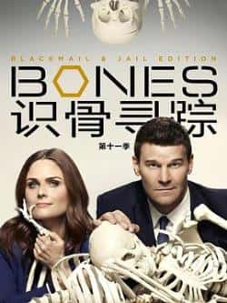 电视剧《识骨寻踪第十一季》（EmilyDeschanel，DavidBoreanaz等主演）高清bt种子下载-蓝光4K/1080P/720P/360P高清标清网盘BT迅雷下载小众纪录片电影下载