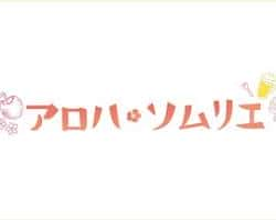 电视剧《Aloha·品酒师》（观月亚理莎,宍户美和公,古屋敬多等主演）高清bt种子下载-蓝光4K/1080P/720P/360P高清标清网盘BT迅雷下载小众纪录片电影下载