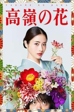 电视剧《高岭之花》（石原里美,峯田和伸,芳根京子,千等主演）高清bt种子下载-蓝光4K/1080P/720P/360P高清标清网盘BT迅雷下载小众纪录片电影下载