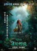 电影《寻龙传说》-蓝光4K/1080P/720P/360P高清标清网盘百度云BT种子磁力迅雷下载