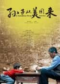 电影《孙子从美国来》-蓝光4K/1080P/720P/360P高清标清网盘百度云BT种子磁力迅雷下载