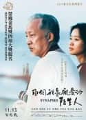 电影《那个我最亲爱的陌生人》-蓝光4K/1080P/720P/360P高清标清网盘百度云BT种子磁力迅雷下载