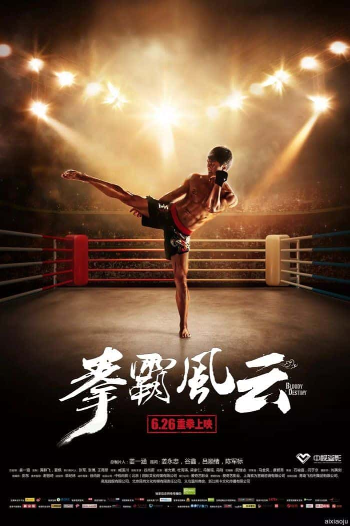 电影《拳霸风云》-蓝光4K/1080P/720P/360P高清标清网盘百度云BT种子磁力迅雷下载