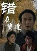 电视剧《错在重逢》-蓝光4K/1080P/720P/360P高清标清网盘百度云BT种子磁力迅雷下载