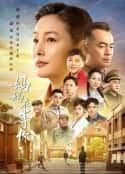 电视剧《妈妈在等你》-蓝光4K/1080P/720P/360P高清标清网盘百度云BT种子磁力迅雷下载