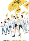 电视剧《二十不惑》-蓝光4K/1080P/720P/360P高清标清网盘百度云BT种子磁力迅雷下载