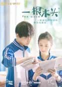 电视剧《一根木头》-蓝光4K/1080P/720P/360P高清标清网盘百度云BT种子磁力迅雷下载