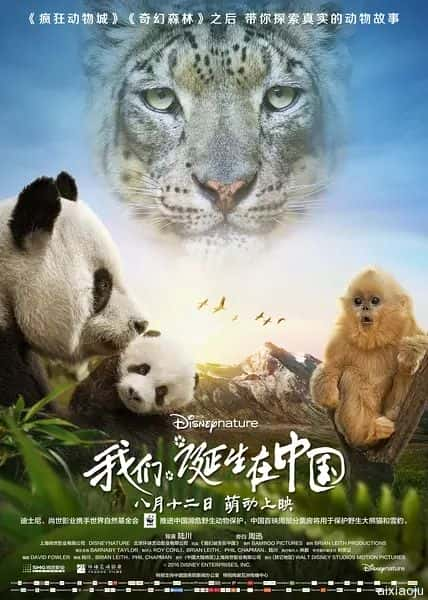 电影《我们诞生在中国》-蓝光4K/1080P/720P/360P高清标清网盘百度云BT种子磁力迅雷下载