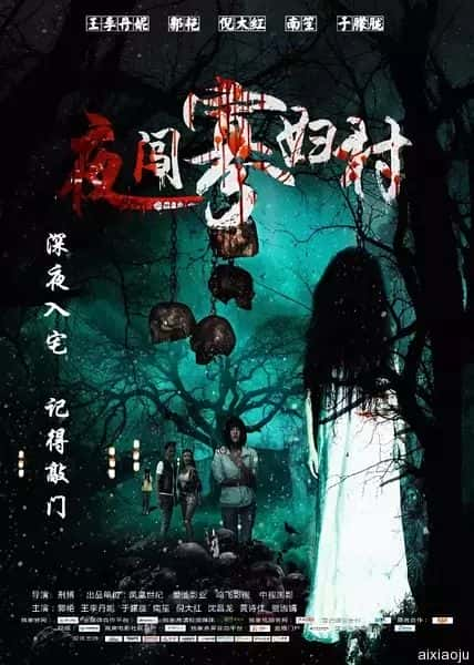 电影《夜闯寡妇村》-蓝光4K/1080P/720P/360P高清标清网盘百度云BT种子磁力迅雷下载