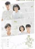电视剧《那年夏天有风吹过》-蓝光4K/1080P/720P/360P高清标清网盘百度云BT种子磁力迅雷下载