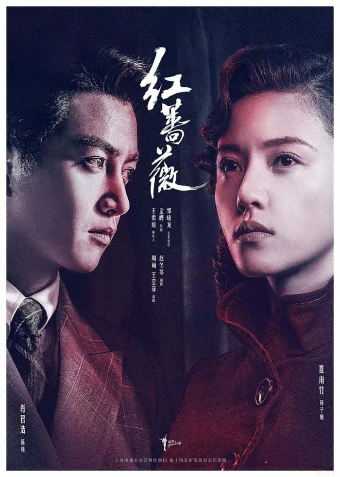 电视剧《红蔷薇》-蓝光4K/1080P/720P/360P高清标清网盘百度云BT种子磁力迅雷下载