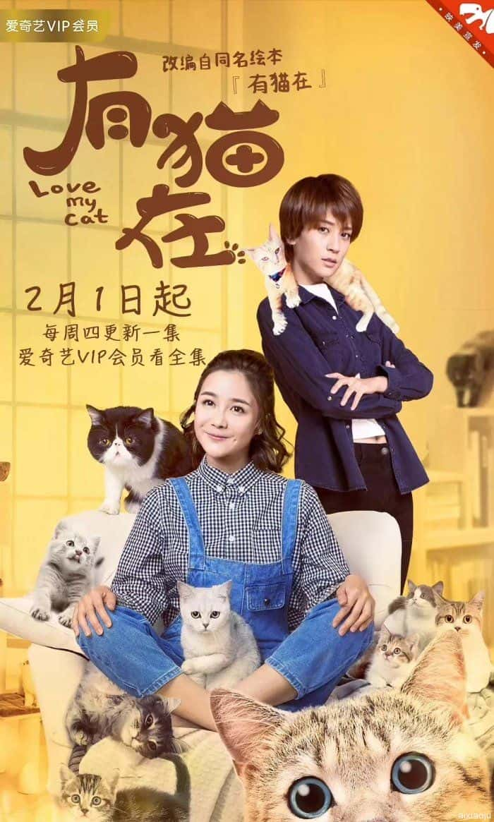 电视剧《有猫在》-蓝光4K/1080P/720P/360P高清标清网盘百度云BT种子磁力迅雷下载