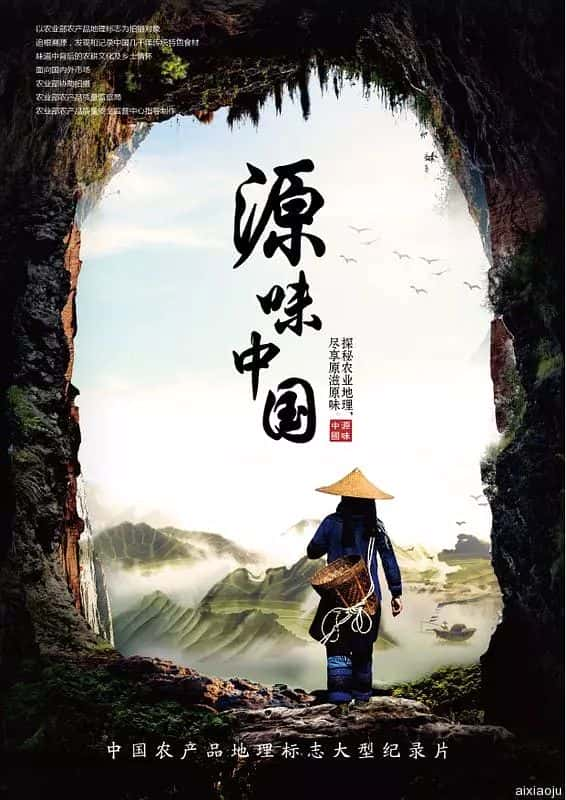 电视剧《源味中国》-蓝光4K/1080P/720P/360P高清标清网盘百度云BT种子磁力迅雷下载