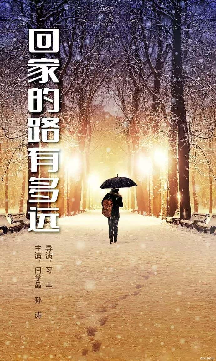 电视剧《回家的路有多远》-蓝光4K/1080P/720P/360P高清标清网盘百度云BT种子磁力迅雷下载