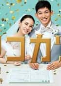 日剧《离婚活动》-蓝光4K/1080P/720P/360P高清标清网盘百度云BT种子磁力迅雷下载