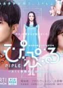 日剧《PIPLE：和AI的结婚生活开始了》-蓝光4K/1080P/720P/360P高清标清网盘百度云BT种子磁力迅雷下载